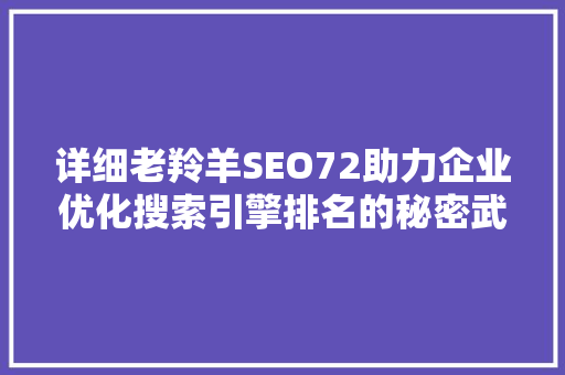 详细老羚羊SEO72助力企业优化搜索引擎排名的秘密武器