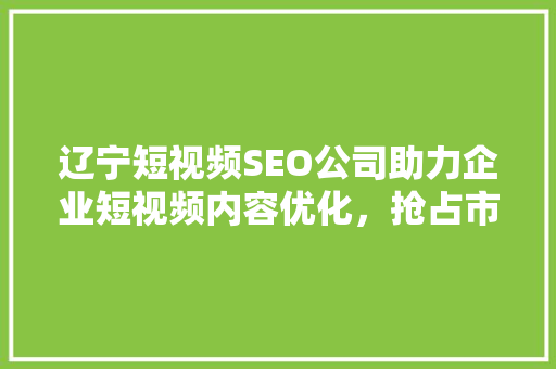 辽宁短视频SEO公司助力企业短视频内容优化，抢占市场先机