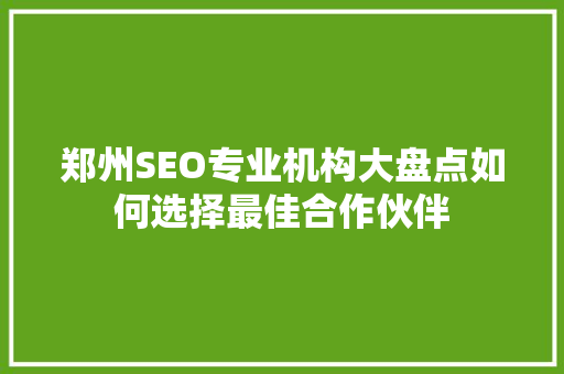 郑州SEO专业机构大盘点如何选择最佳合作伙伴