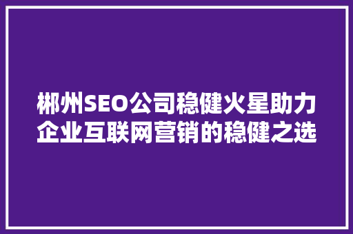 郴州SEO公司稳健火星助力企业互联网营销的稳健之选