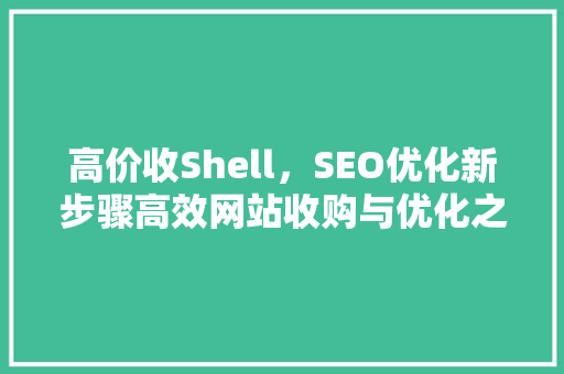 高价收Shell，SEO优化新步骤高效网站收购与优化之路