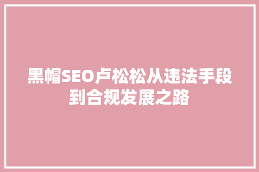 黑帽SEO卢松松从违法手段到合规发展之路