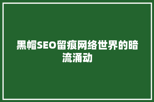 黑帽SEO留痕网络世界的暗流涌动
