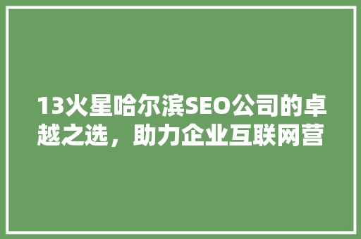 13火星哈尔滨SEO公司的卓越之选，助力企业互联网营销腾飞