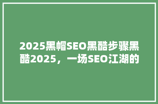 2025黑帽SEO黑酷步骤黑酷2025，一场SEO江湖的变革