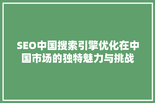 SEO中国搜索引擎优化在中国市场的独特魅力与挑战