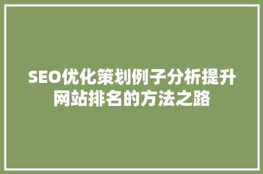SEO优化策划例子分析提升网站排名的方法之路