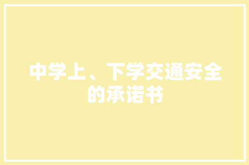 SEO信息流实操提升内容传播效率的关键步骤