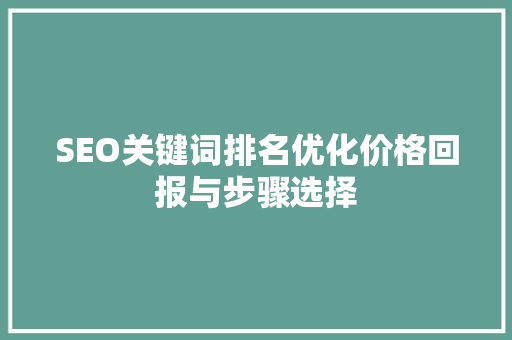 SEO关键词排名优化价格回报与步骤选择