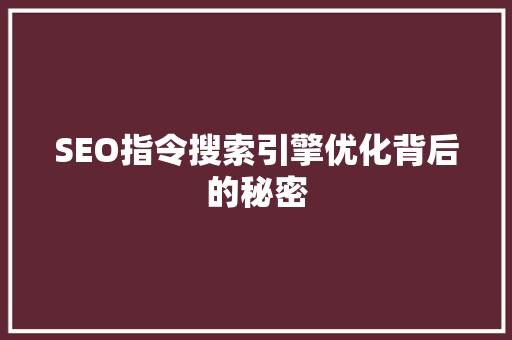 SEO指令搜索引擎优化背后的秘密