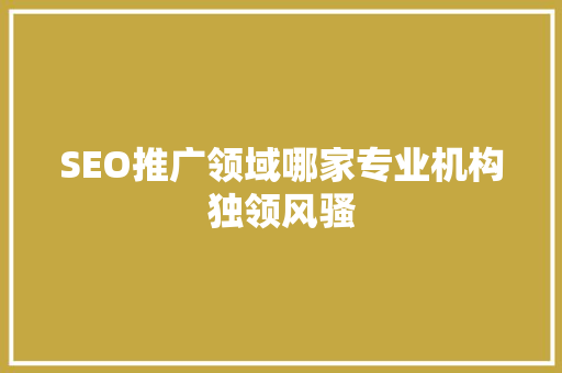 SEO推广领域哪家专业机构独领风骚