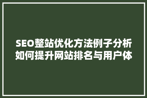 SEO整站优化方法例子分析如何提升网站排名与用户体验