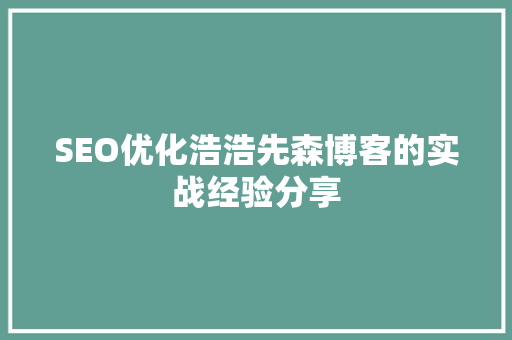 SEO优化浩浩先森博客的实战经验分享