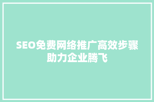 SEO免费网络推广高效步骤助力企业腾飞