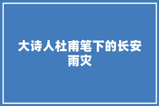 SEO岗位未来趋势数字化转型下的新机遇  第1张