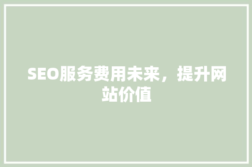 SEO服务费用未来，提升网站价值