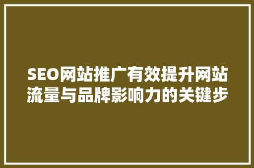 SEO网站推广有效提升网站流量与品牌影响力的关键步骤