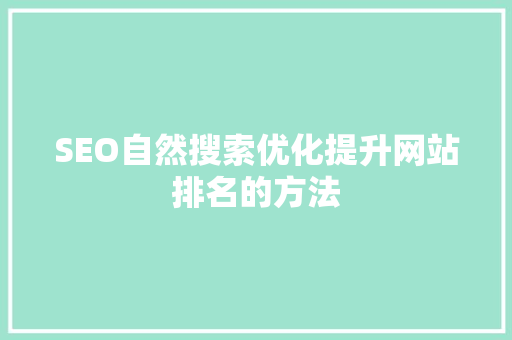 SEO自然搜索优化提升网站排名的方法