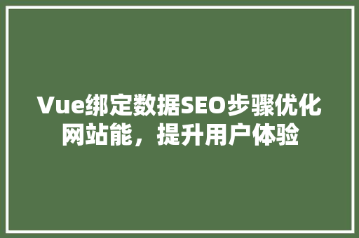 Vue绑定数据SEO步骤优化网站能，提升用户体验