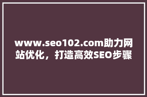 www.seo102.com助力网站优化，打造高效SEO步骤