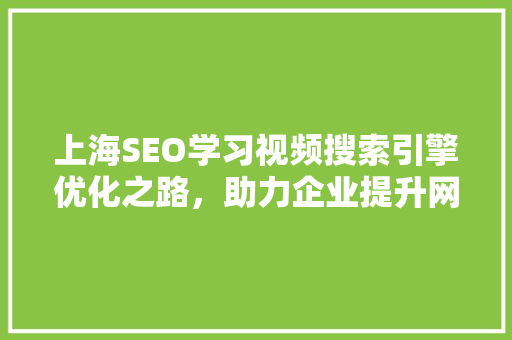 上海SEO学习视频搜索引擎优化之路，助力企业提升网络竞争力