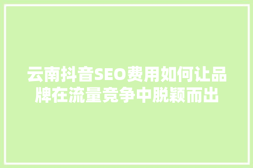 云南抖音SEO费用如何让品牌在流量竞争中脱颖而出