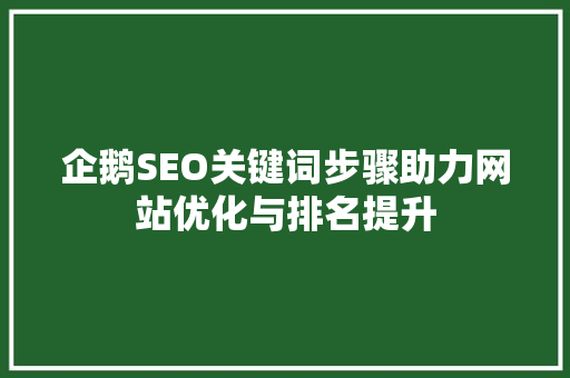 企鹅SEO关键词步骤助力网站优化与排名提升