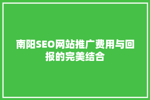 南阳SEO网站推广费用与回报的完美结合
