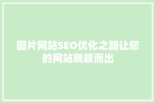 图片网站SEO优化之路让您的网站脱颖而出