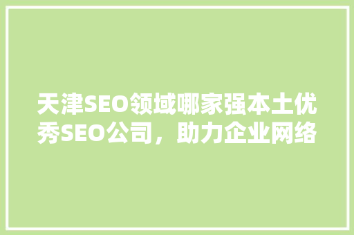 天津SEO领域哪家强本土优秀SEO公司，助力企业网络营销腾飞