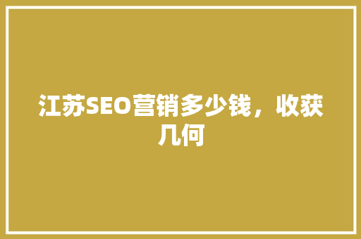 江苏SEO营销多少钱，收获几何