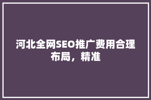 河北全网SEO推广费用合理布局，精准