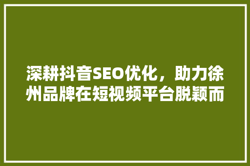深耕抖音SEO优化，助力徐州品牌在短视频平台脱颖而出