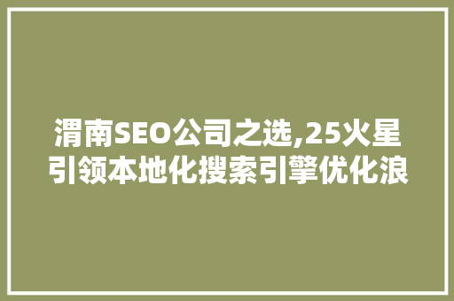 渭南SEO公司之选,25火星引领本地化搜索引擎优化浪潮
