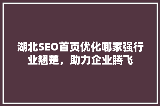 湖北SEO首页优化哪家强行业翘楚，助力企业腾飞