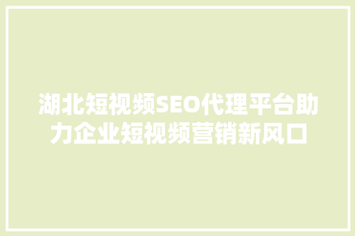 湖北短视频SEO代理平台助力企业短视频营销新风口