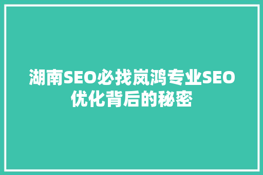 湖南SEO必找岚鸿专业SEO优化背后的秘密