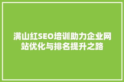 满山红SEO培训助力企业网站优化与排名提升之路