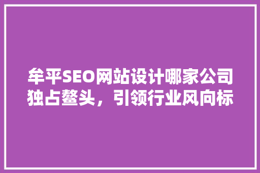 牟平SEO网站设计哪家公司独占鳌头，引领行业风向标