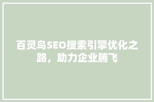 百灵鸟SEO搜索引擎优化之路，助力企业腾飞