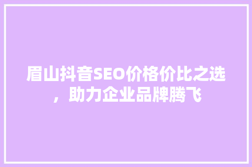 眉山抖音SEO价格价比之选，助力企业品牌腾飞