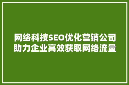 网络科技SEO优化营销公司助力企业高效获取网络流量，实现业绩腾飞