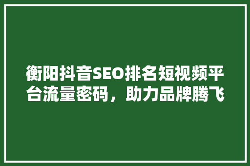 衡阳抖音SEO排名短视频平台流量密码，助力品牌腾飞