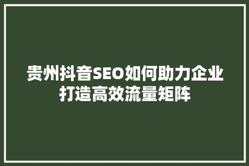 贵州抖音SEO如何助力企业打造高效流量矩阵