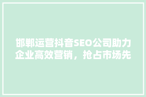 邯郸运营抖音SEO公司助力企业高效营销，抢占市场先机