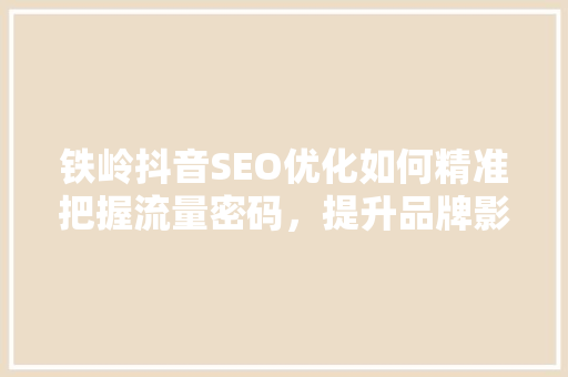 铁岭抖音SEO优化如何精准把握流量密码，提升品牌影响力
