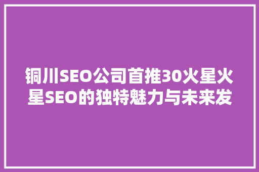 铜川SEO公司首推30火星火星SEO的独特魅力与未来发展