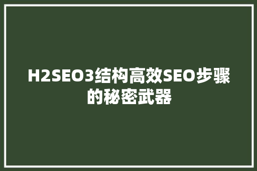 H2SEO3结构高效SEO步骤的秘密武器