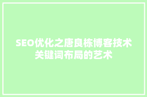 SEO优化之唐良栋博客技术关键词布局的艺术