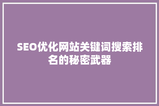 SEO优化网站关键词搜索排名的秘密武器